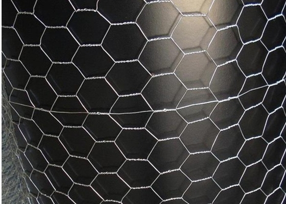 dia 0.8mm Galvanized Hexagonal Wire Netting 6mm Opening chicken fencing net